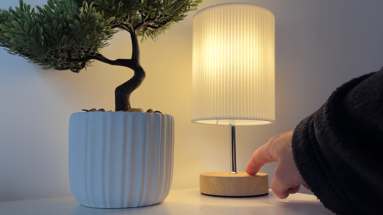 Mann som slår på skrivebordslampe med berøringssensor med miniplanter, bonsai-tre, minimal arbeidsstasjon
