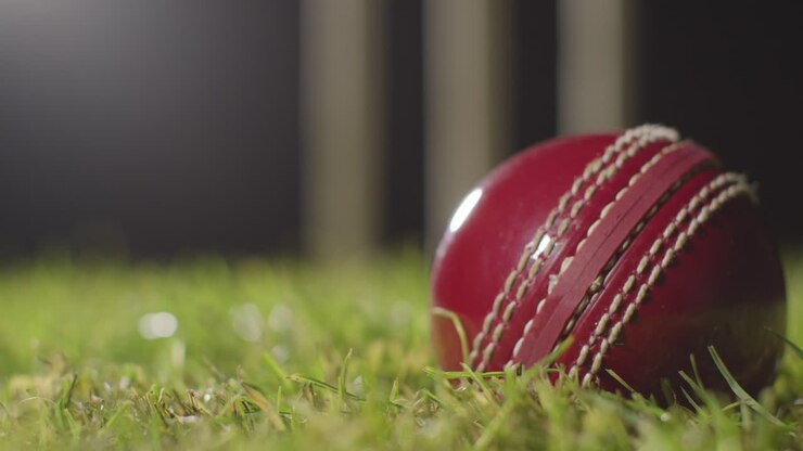 Natura morta di cricket con primo piano di una palla adagiata sull'erba davanti ai paletti.