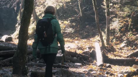 handheld shot of woman hike in a forest at sucha bela slovakia in sunny day