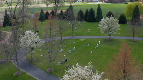 Aerial-of-cemetery-grave-markers,-tombstones-in-graveyard