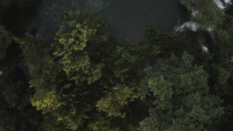 Overhead-Drone-Shot-of-a-Forest-Revealing-a-Hidden-Waterfall