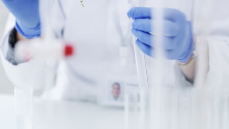 científico experimentando con una planta de tomillo en un entorno de laboratorio