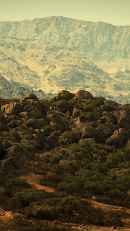 paisaje montañoso con rocas y árboles