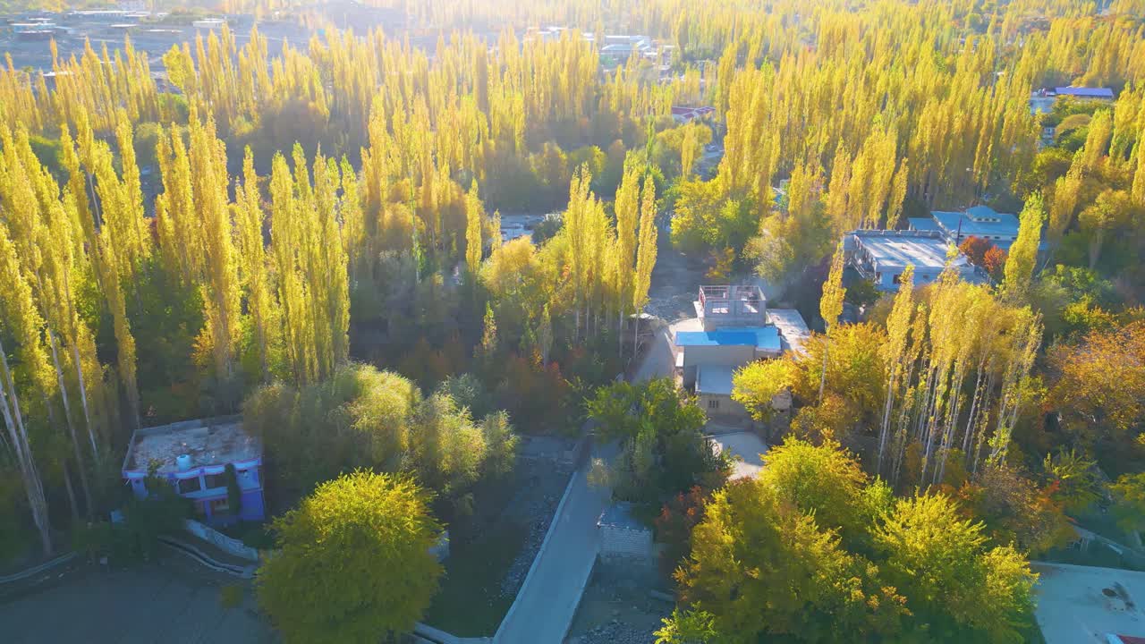 Captivating aerial view of skardu valley showcasing vibrant foliage, golden trees, and scattered houses, creating a picturesque landscape under soft, warm sunlight in a serene environment