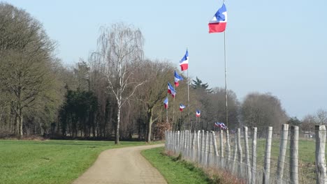 disparo de varias banderas holandesas al revés en el paisaje holandés