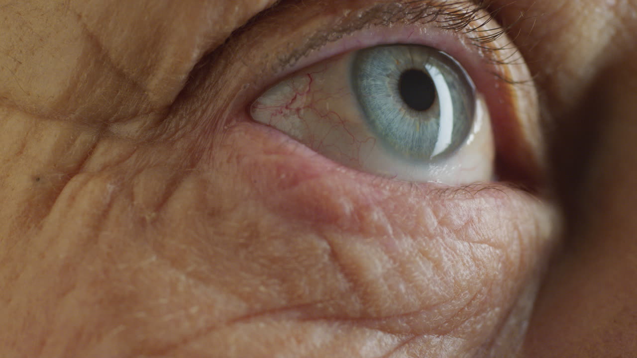 클로즈업 매크로 아름다운 눈  ⁇ 박이는 호기심