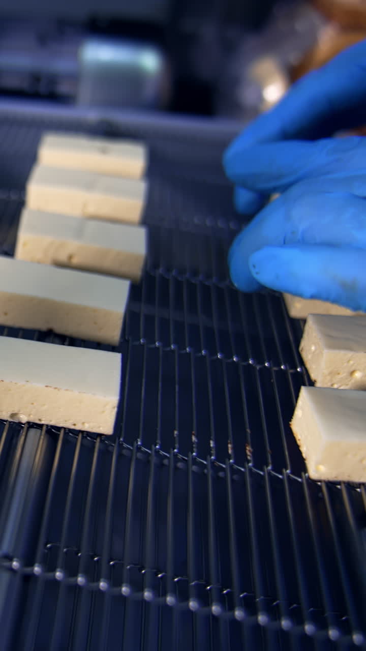 Factory worker placing white candies on the conveyor. Confectionery factory production of sweets. Close up of small pieces of sweets. Vertical video