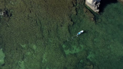 Birdseye-overhead-ascending-shot-of-a-Paddle-boarder-over-incredible-exotic-clear-ocean-waters,-Drone-Aerial