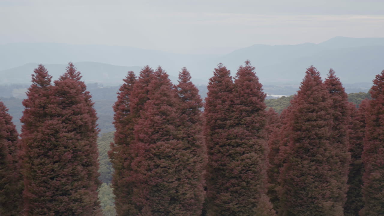 A young girl is getting ready to go on an adventure in the park