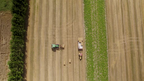 Temporada-De-Cosecha-En-Europa,-Caluroso-Día-De-Verano-En-Campo-De-Heno