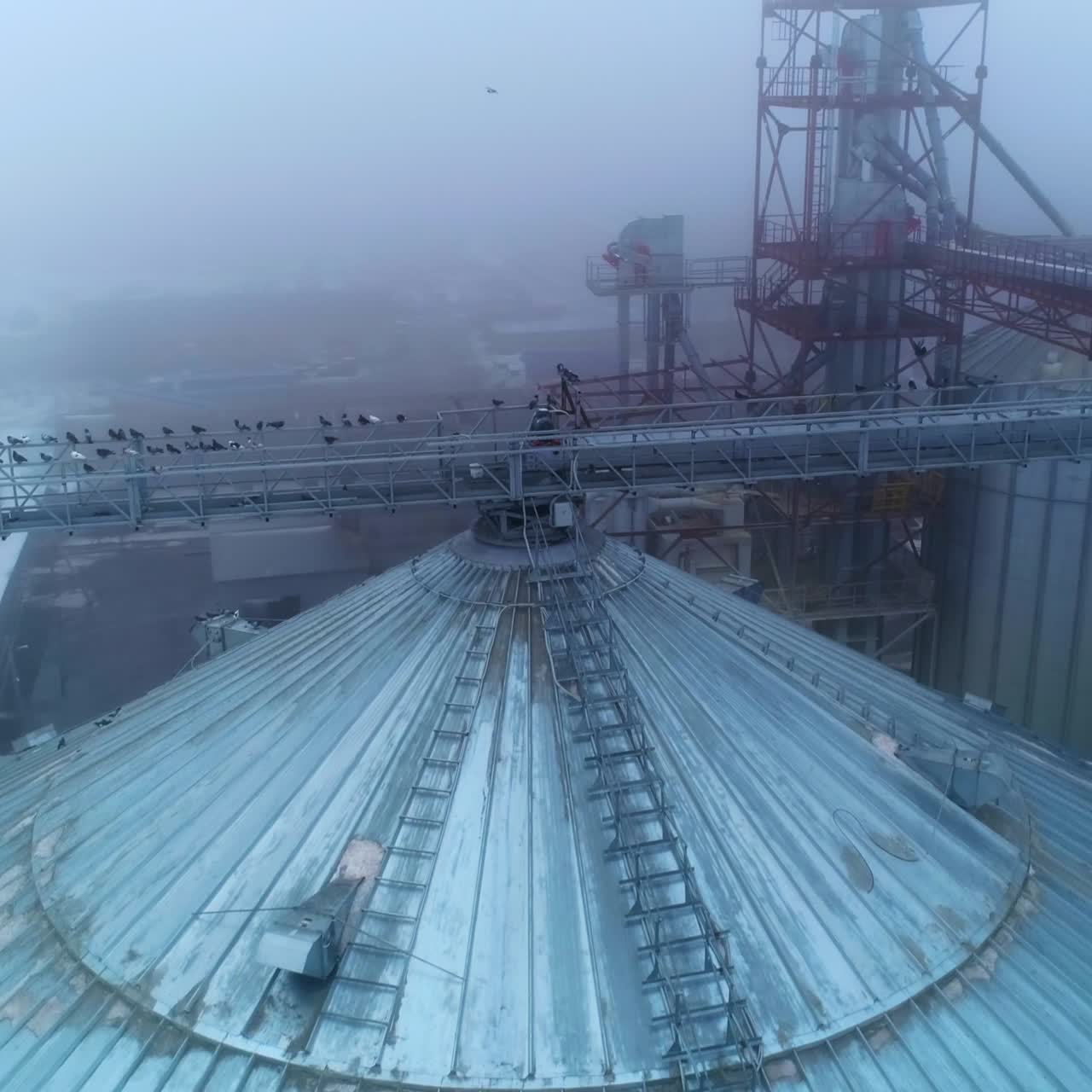 Heavy metal constructions connecting granary tanks. Steel supports over the containers occupied by birds. Grey foggy winter day backdrop