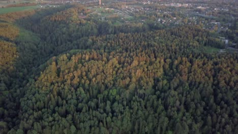 Tiro-Aéreo-De-Inclinación-Hacia-Arriba-Bosque-Denso-En-El-Valle,-Con-Paisaje-Urbano-Que-Se-Muestra-En-La-Distancia