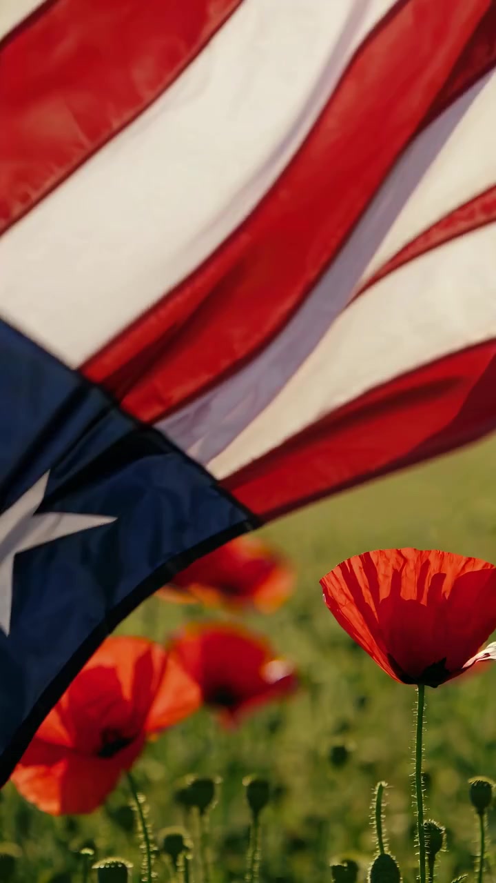 Bandiera americana che sventola su un campo di papaveri rossi