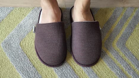 person wearing cozy slippers on a rug