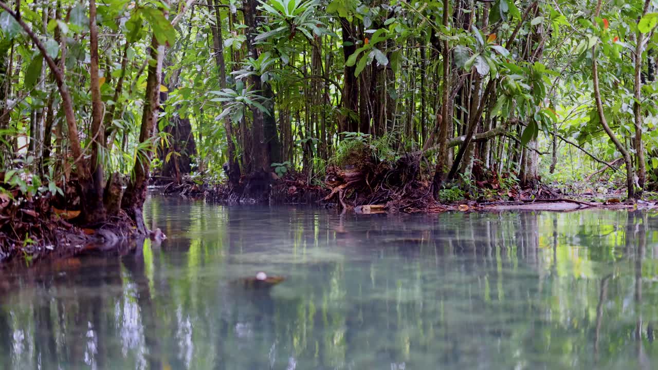 크라비 의 울창 한 초록색 으로 둘러싸인 조용 한 은 물 운하