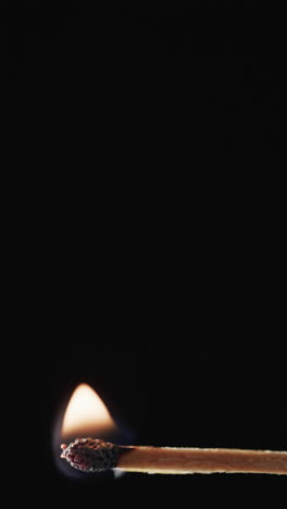 vertical video of lit alcohol flames and copy space on black background