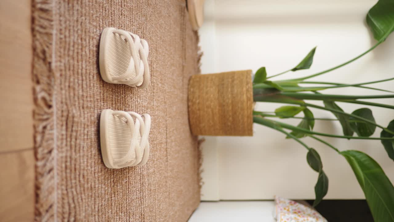 Home Interior with Plant and Wall Decoration