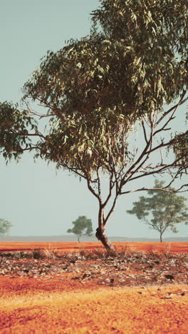 árbol solitario en el interior