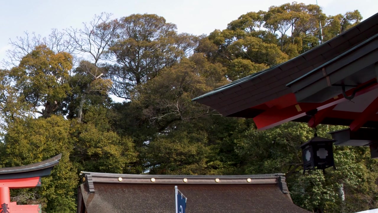 Low angle pan across red temple architecture and torii gates against a lush forest background.