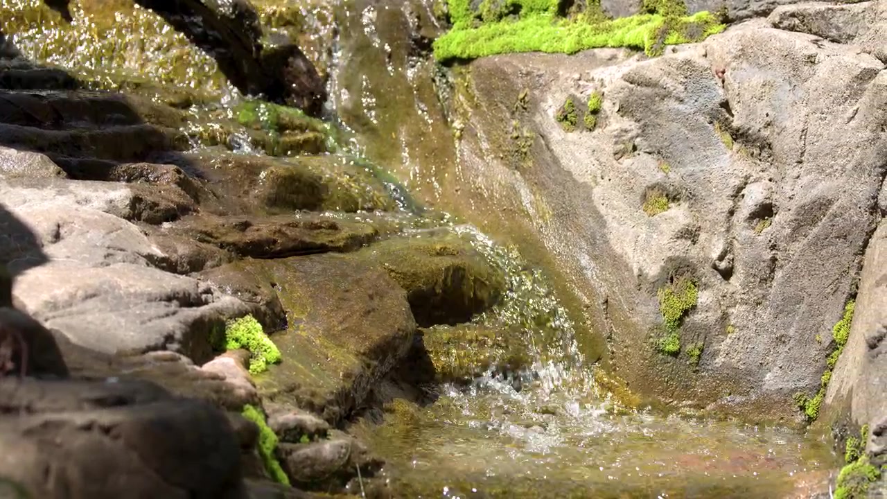 Sunlight Sparkles on Clear Water Flowing Over Mossy Rocks