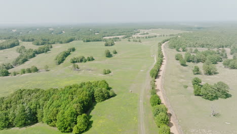 vast landscape with lush green trees in summer in leach, oklahoma, usa