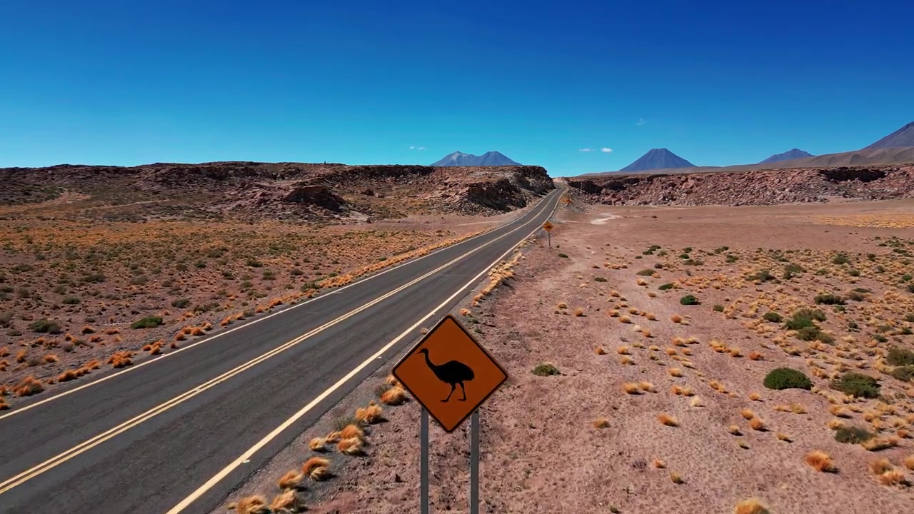 Volo sopra un'autostrada desertica tortuosa, oltre un segnale di avviso per la fauna selvatica (nandù), con cime vulcaniche che si ergono sopra un paesaggio roccioso arido sotto un cielo azzurro e limpido.