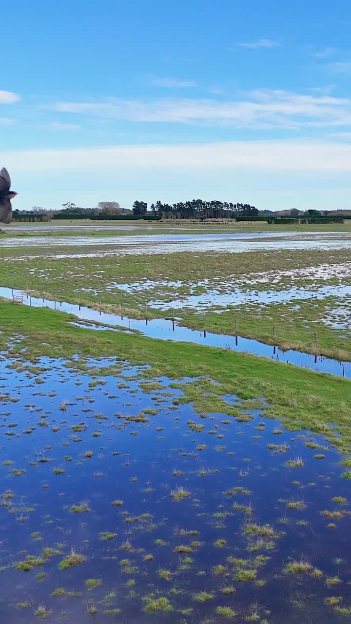Prospettiva drone di campi verdi allagati e paesaggio rurale dopo forti piogge in Nuova Zelanda