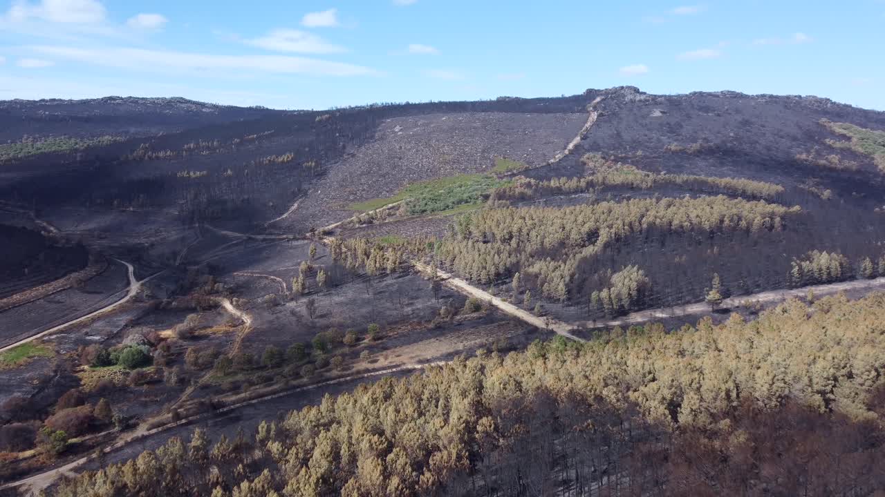 paisaje montañoso árido después de un incendio forestal extinguido en un día soleado, aéreo