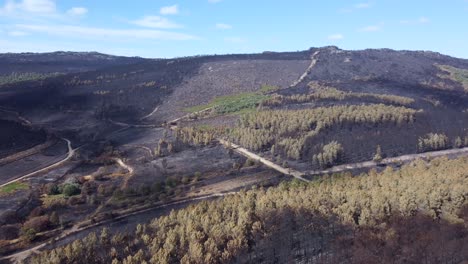 Barren-mountain-landscape-after-extinguished-wildfire-on-sunny-day,-aerial