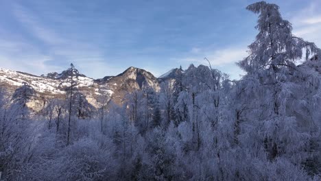 breathtaking aerial view of snow-covered winter forest near walensee, switzerland, frosty trees, majestic swiss alps and serene blue sky.