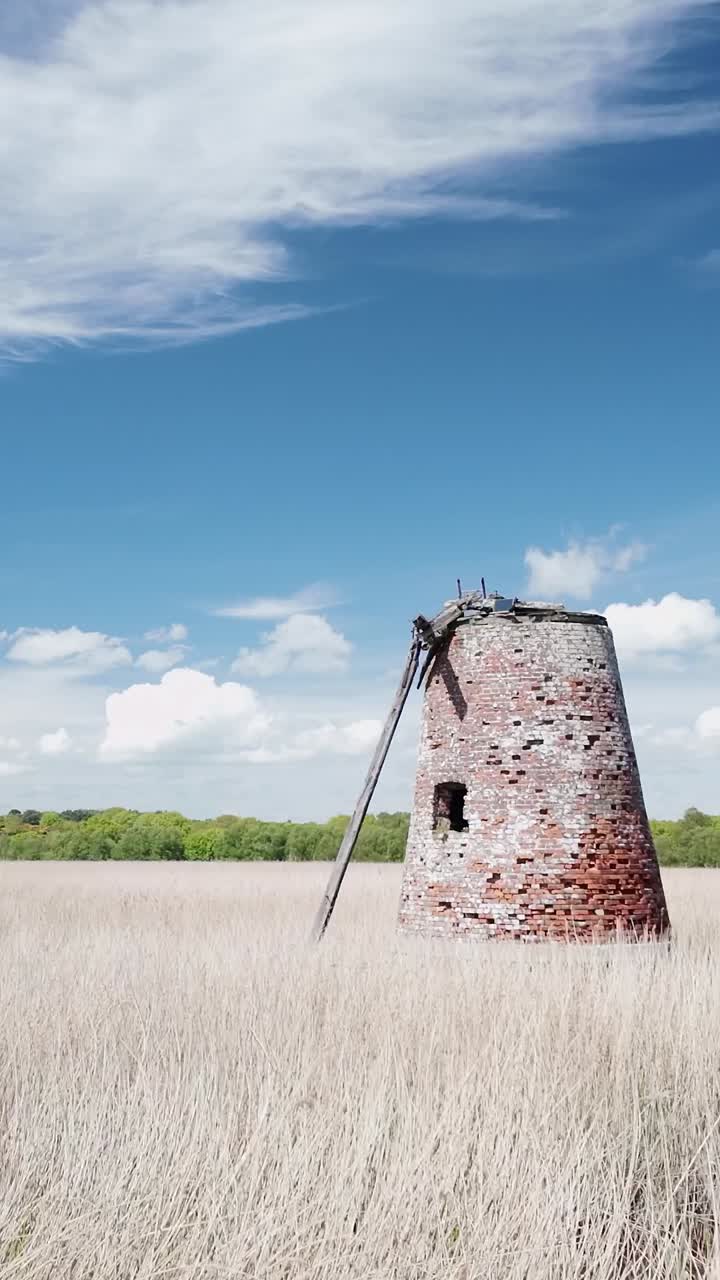 Derelict pump windmill in tall grassy wetland marshes VERTICAL shot