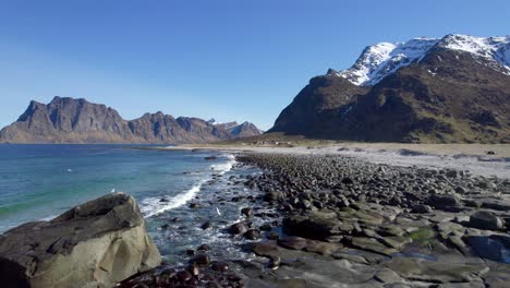 aerial low forwarding shot of the famous beach uttakleiv in lofoten with snow capped mountains in the background