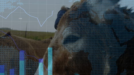 woman riding donkey in rural farmland, overlaying world map grid with technology data lines