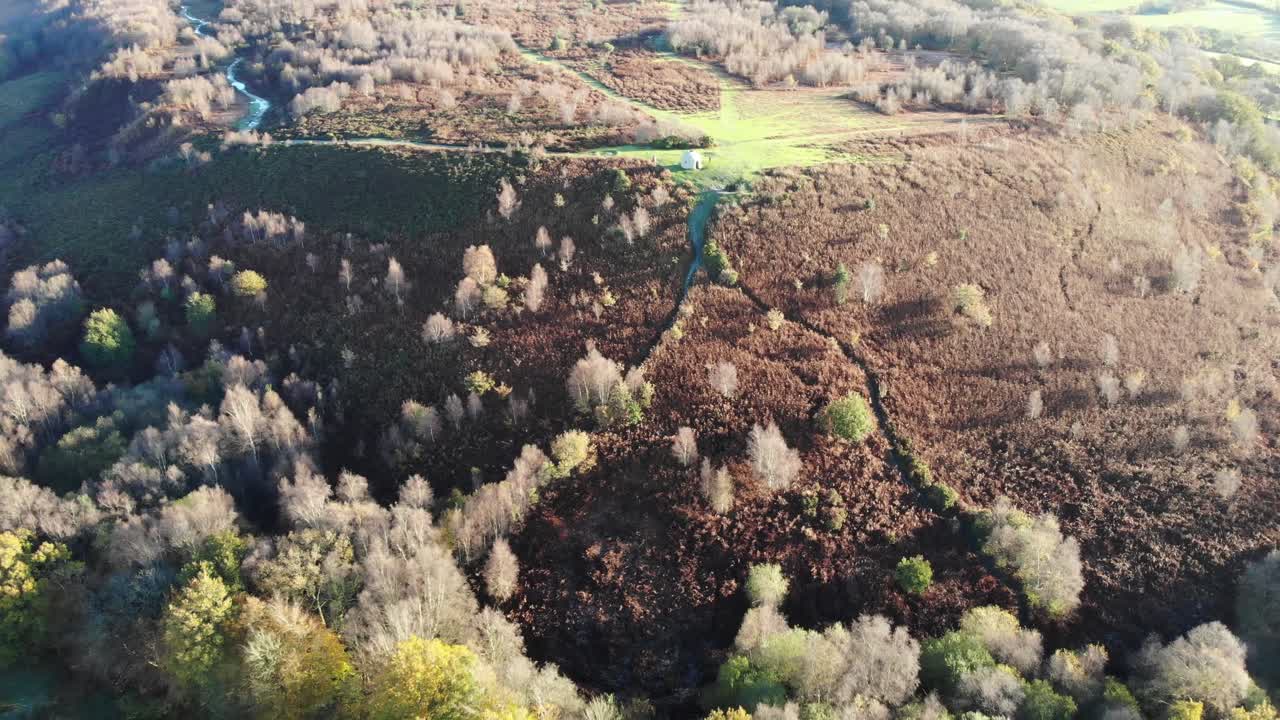 toma aérea suave de 4k que asciende lentamente por encima de los hermosos bosques y campos de culmstock beacon en las colinas negras de devon, inglaterra