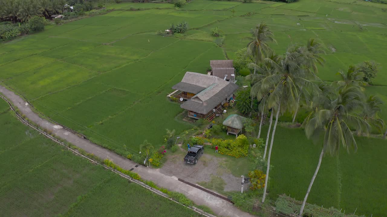 Pondok Restoran Dikelilingi Sawah dengan Pohon Palem di Filipina.