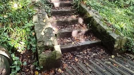 A-close-up-view-of-a-rugged-stone-staircase-in-the-forest,-covered-in-colorful-autumn-leaves,-Isle-of-Anglesey,-Wales