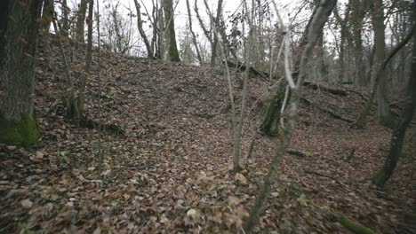 Verlassenes-Gebäude-Im-Wald,-Das-Teil-Der-Weltweiten-Kriegsbefestigung-Ist