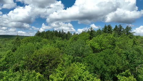 liftoff from valley floor over forest into an aerial view of mountains on a partly cloudy day