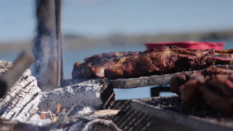 grilled meat asado, traditional argentine barbecue with burning and smoking firewood, close up