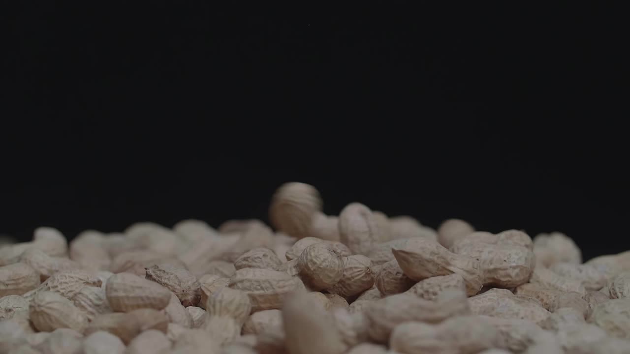 Peanuts In Shell Drop To The Ground. In A Black Background