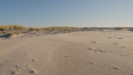 horizontal view of wet sand landscape shortly after rain sunny bright blue sky seaside