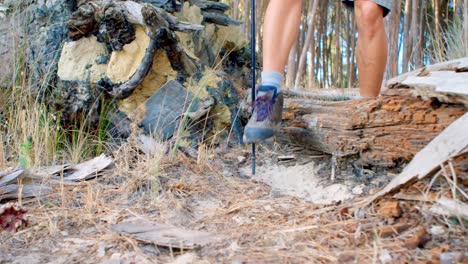 Male hiker walking over a wooden log in the forest 4k