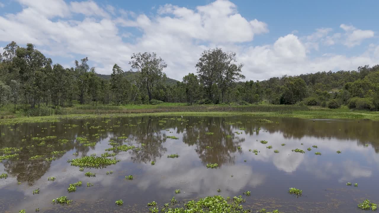 un estanque tranquilo con pájaros volando por encima