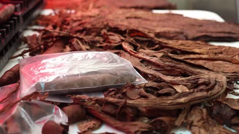 Dried-and-cured-tobacco-leaves