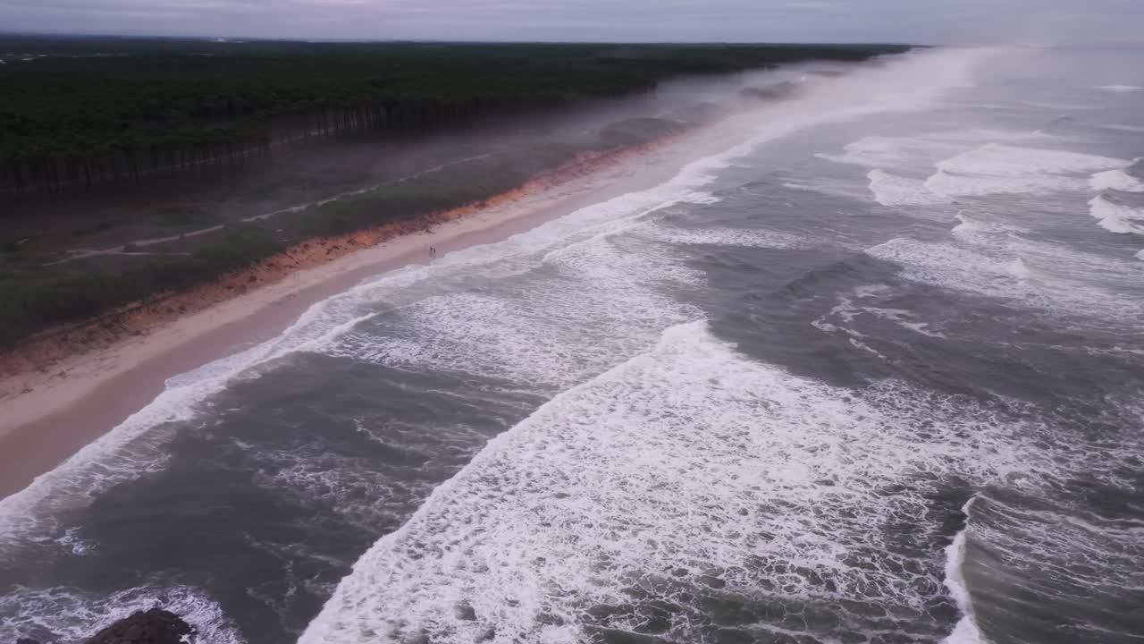 São Pedro de Maceda Beach in Ovar, Portugal showing wild Atlantic waves, sandy shore, and pine forest coastline - Aerial