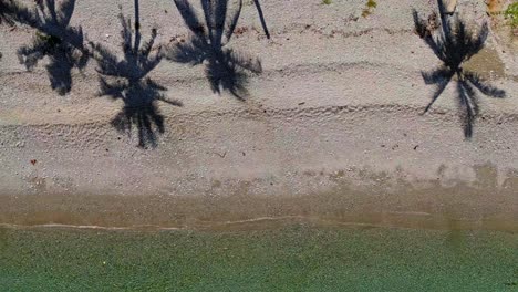 Aerial-Abstract-of-Palm-tree-shadows-on-the-beach