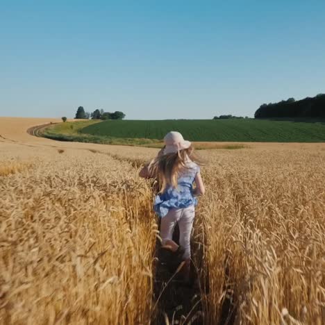 Happy-child-runs-across-the-wheat-field-and-the-wind-blows-away-her-hat