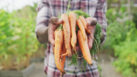 Focus-on-African-American-man-showing-carrots-at-the-camera-