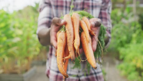 enfoque en el hombre afroamericano que muestra zanahorias a la cámara