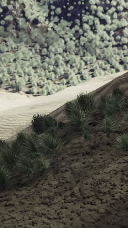 rugged hills and valleys rise